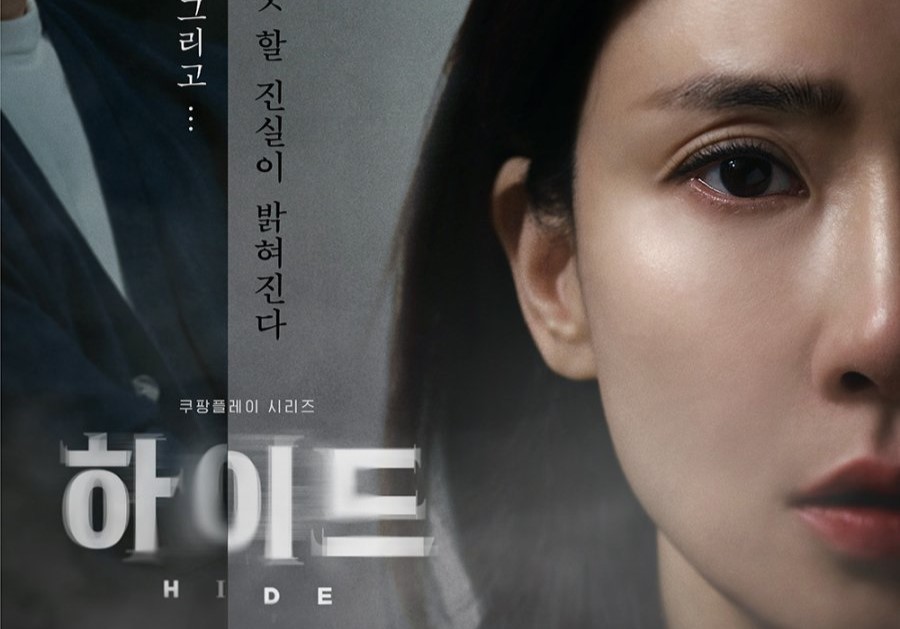 Drama Korea Hide Sub Indo 1 - 12(END)
